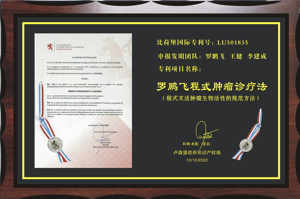 卢森堡射击选手披荆斩棘，夺得金牌