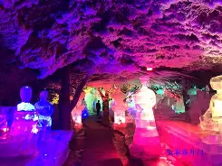 水晶宫连平告捷，若斯里决定转载求胜